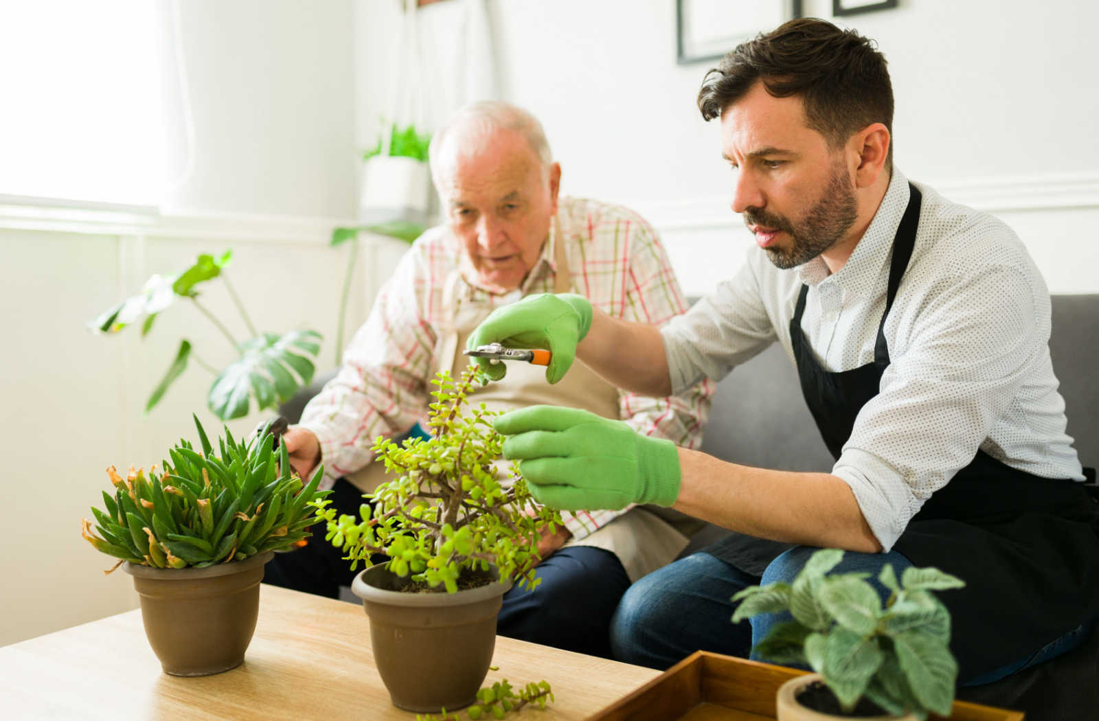 A young man showing a senior man how to do indoor gardening.